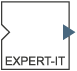 Expert-IT
