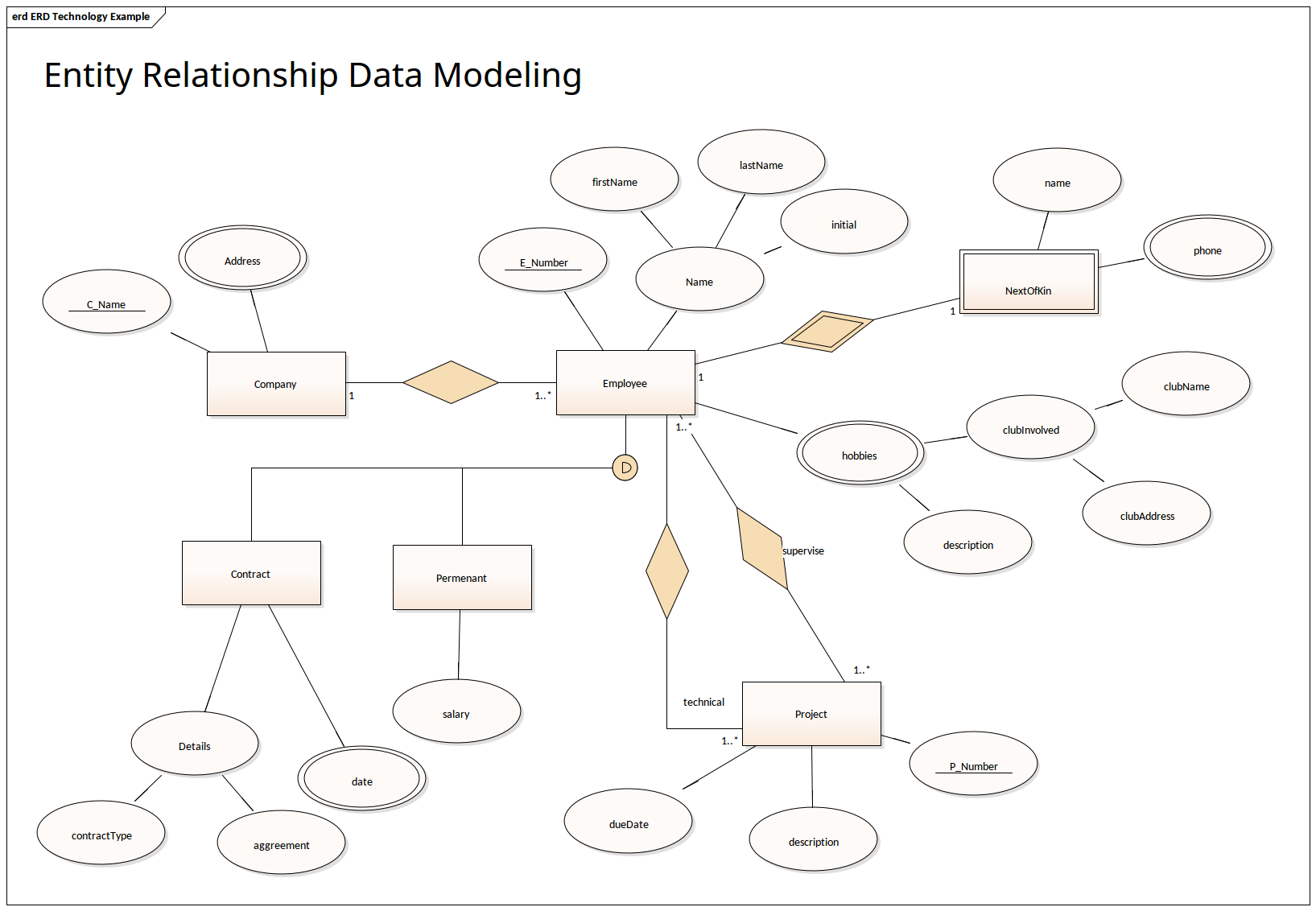 Entity Relationship Data Modeling